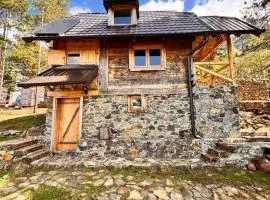 Koliba Dobro drvo, шале у місті Златибор