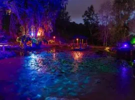 Enchanted Estate With Animals Lightscapes and Whimsy
