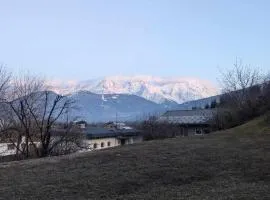 Charmant apartment vue MontBlanc