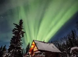 Moose Mountain Cabin- Cozy retreat with aurora views