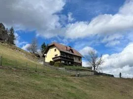 Erholung pur mit Aussicht und Alpakas zum Angreifen nahe!