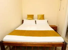 Luxury Spot Apartments C