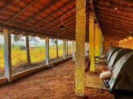 Malanad Camping Tent stay Creative Activities and Nature