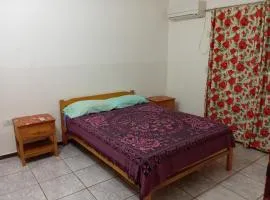 Departamentos céntrico las guayabas