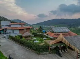 Finch,Kotagiri