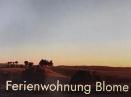 Ferienwohnung Blome