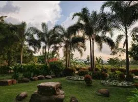 Candela Garden