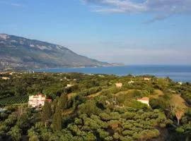 Thanos Attic Apartment Kefalonia