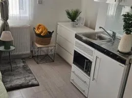 Bright Studio Apt, Great connection 2B
