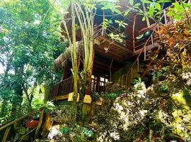 Jungle Face Inn