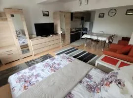 Apartament/Kawalerka