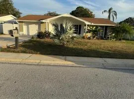 Zyon Cozy Home