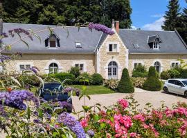 Château de la Menaudière, hotel v destinaci Chissay-en-Touraine
