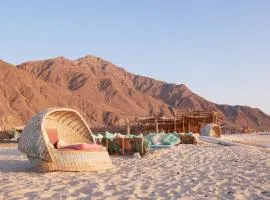 El Dar Camp