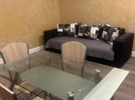 Apartament Negris New