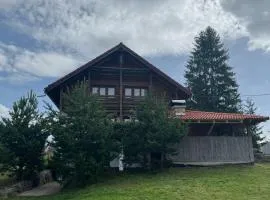 Casa alpin