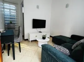 Lenzo properties kijitonyama