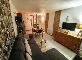 Apt T2, 34m2, pied de piste, 4 à 6 pers, 1 chambre, parking privé sousterrain