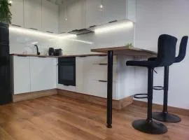 Apartment Moderna