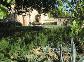 Lavanda2
