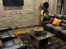 Wicker Park Loft Style Apartment