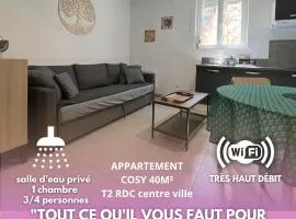Fenix Appartement T2 40 M2 cosy RDC plein centre ville