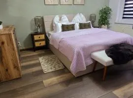 Cozy Pet-Friendly Apartment