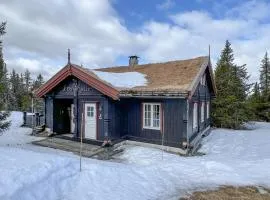 Nice Home In Sjusjøen With Wifi