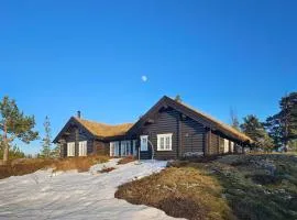 Stunning Home In Flesberg With Sauna