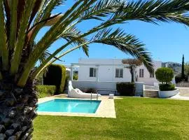 Villa Paradisos Archangelos