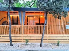 Hary House Mobile Home