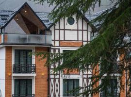 1 Hotel Borjomi, отель в Боржоми