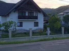 Casa Darius-Filip