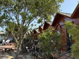 Cô Tô Homestay 368