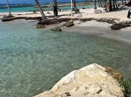 L étoile de mer