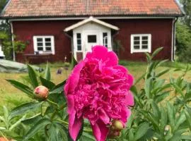 Mormors stuga har charmigt torrdass och utedusch i trädgården