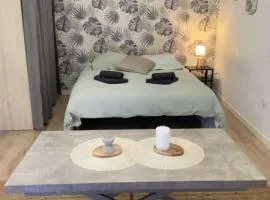 Studio Cosy - proche du centre ville