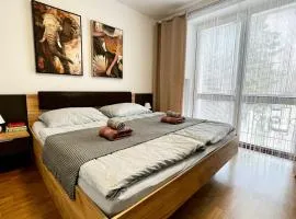Black Lotus I I Downtown Apartment l Free Parking l 24hr Access