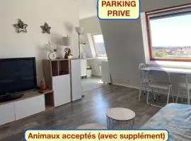 Grand studio Centre-ville avec ascenseur