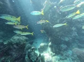 Desert & Sea Haven Marsa Alam