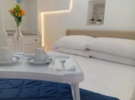 CV MiRa house