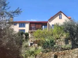 Casa das Pias