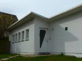 Flandriens