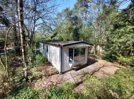 Chalet in Hattemerbroek 'Boshuisje Dennenrust'