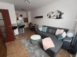 Apartmán Frymburk