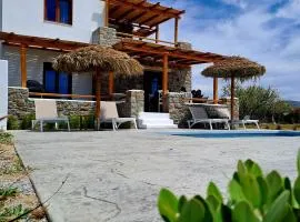 Naxos Beachwalk Villa Plaka