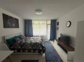 Steinhauer Business Appartement
