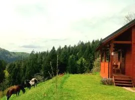 Tiny house、Žiriのタイニーハウス