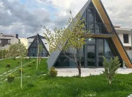 Eco Villa