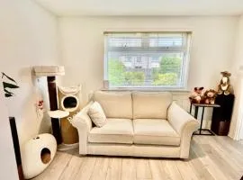 Single room in 3 bedroom house